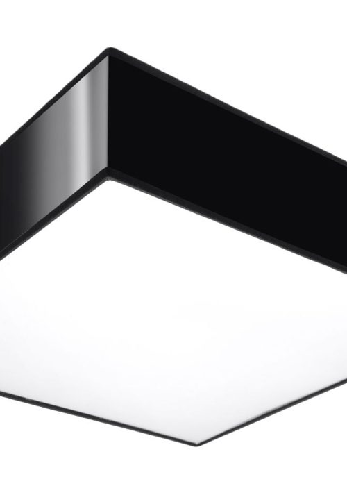 Plafondlamp HORUS 35 Zwart