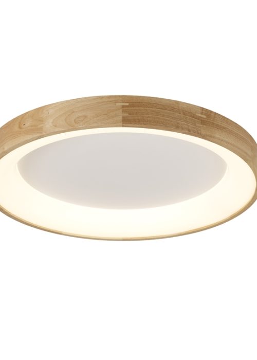 SILVAM 45 Plafondlamp