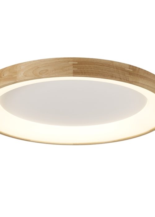 SILVAM 65 Plafondlamp