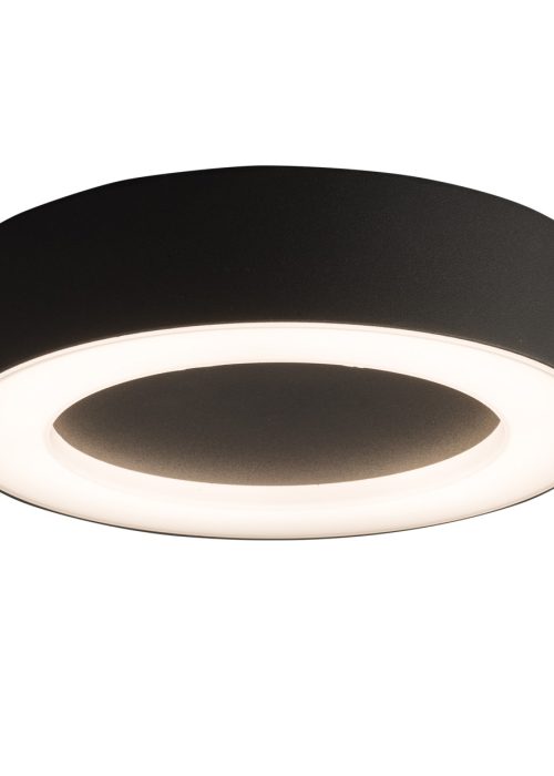 Plafondlamp IP54 Buitenlamp Zwart Geïntegreerd LED 3000K